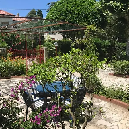 Sasa Villa