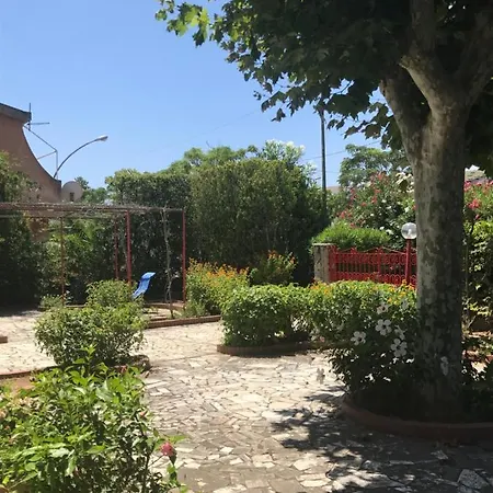 Sasa Villa *
